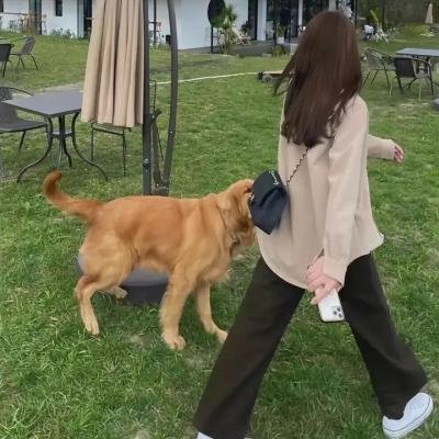查理班克斯的教育